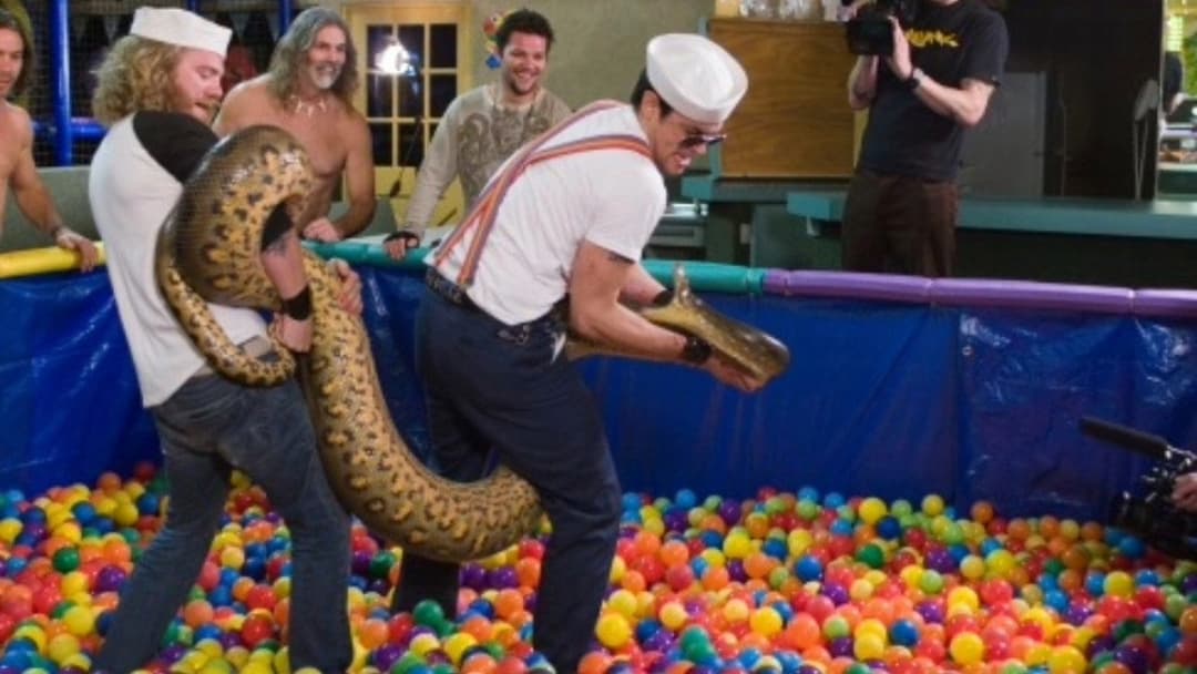 Jackass: Nummer Zwei backdrop 12