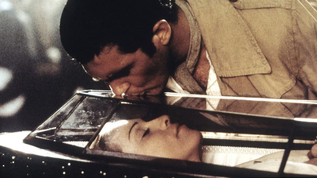 Евіта backdrop 8