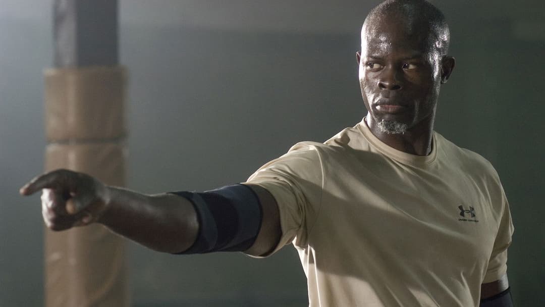 The Fighters backdrop 19