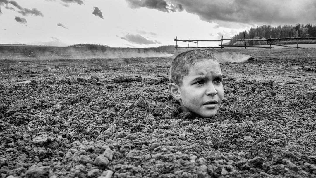 Пофарбоване пташеня backdrop 5