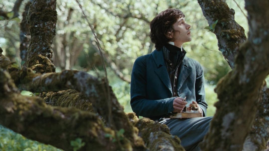 Bright Star backdrop 16