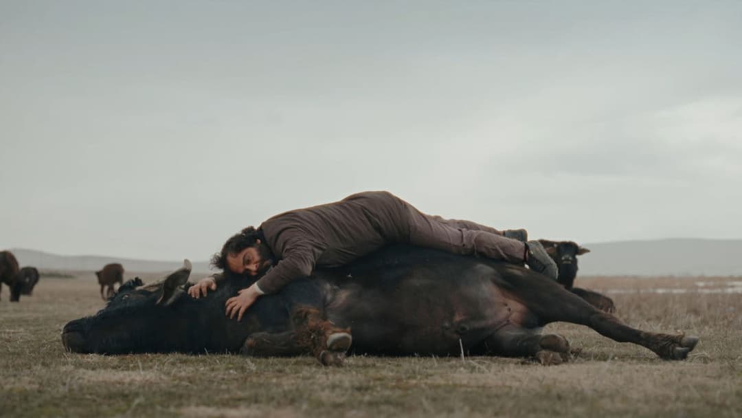 Hear the Yellow backdrop 1