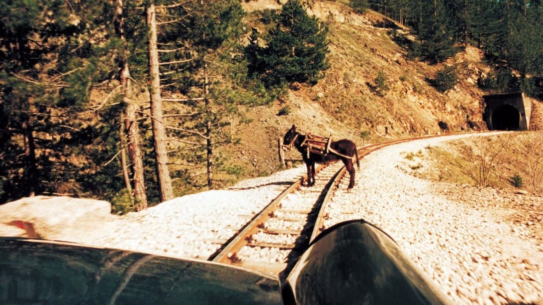 Життя як диво backdrop 3