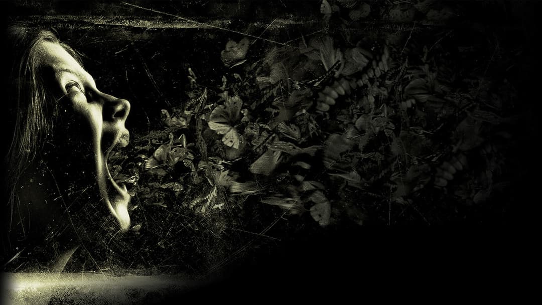 Possession - Das Dunkle in Dir backdrop 7