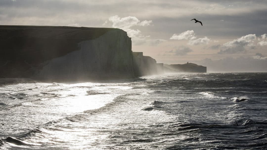 Summerland backdrop 6