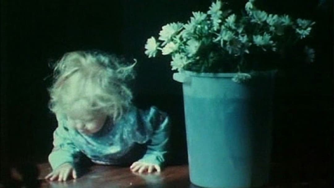 As I Was Moving Ahead, Occasionally I Saw Brief Glimpses of Beauty backdrop 2