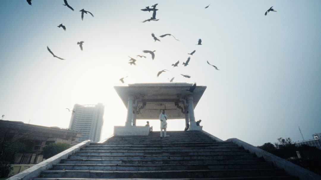 All That Breathes backdrop 2