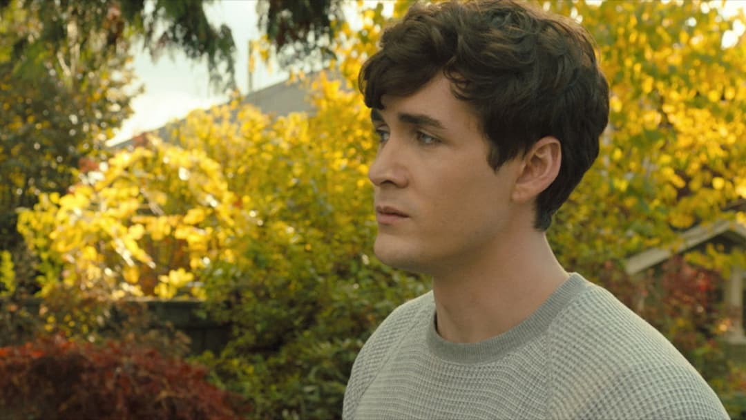 Шлях додому backdrop 7