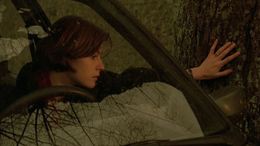 Die zwei Leben der Veronika backdrop 17