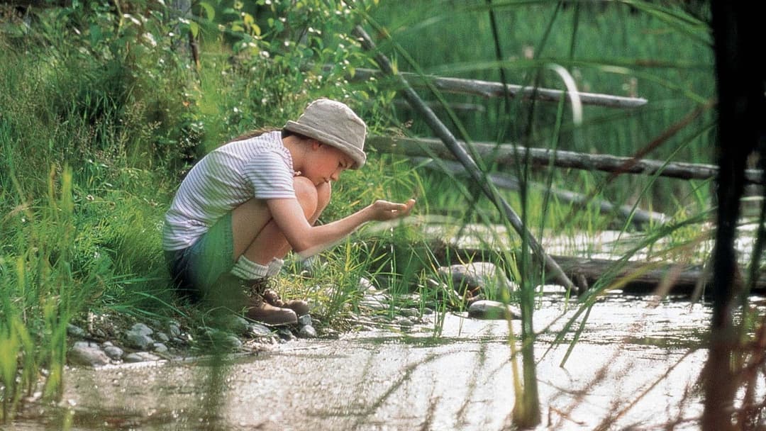 Летіть додому backdrop 1