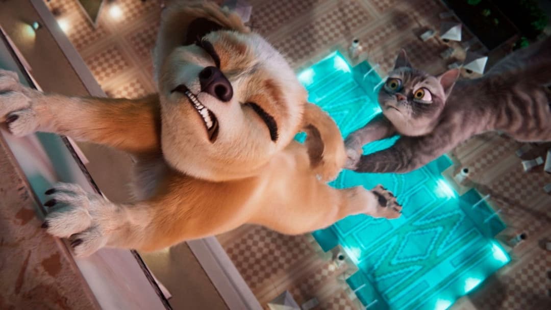 Gracie & Pedro: Pets to the Rescue backdrop 6