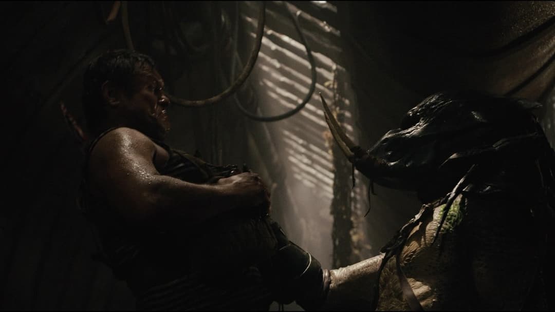 Хижаки backdrop 20