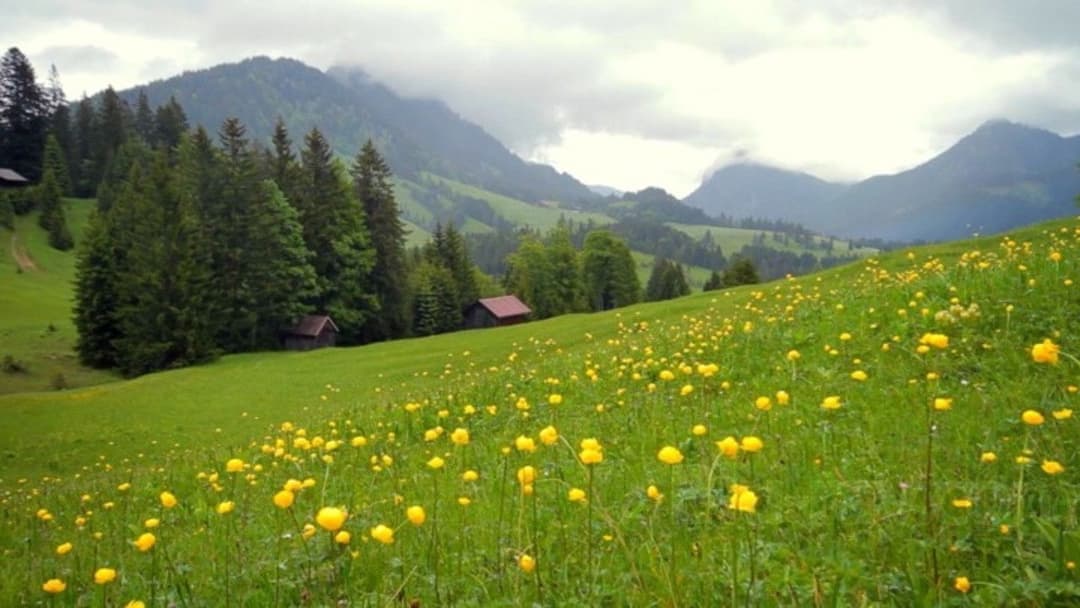 Куди вторгнутися далі backdrop 4