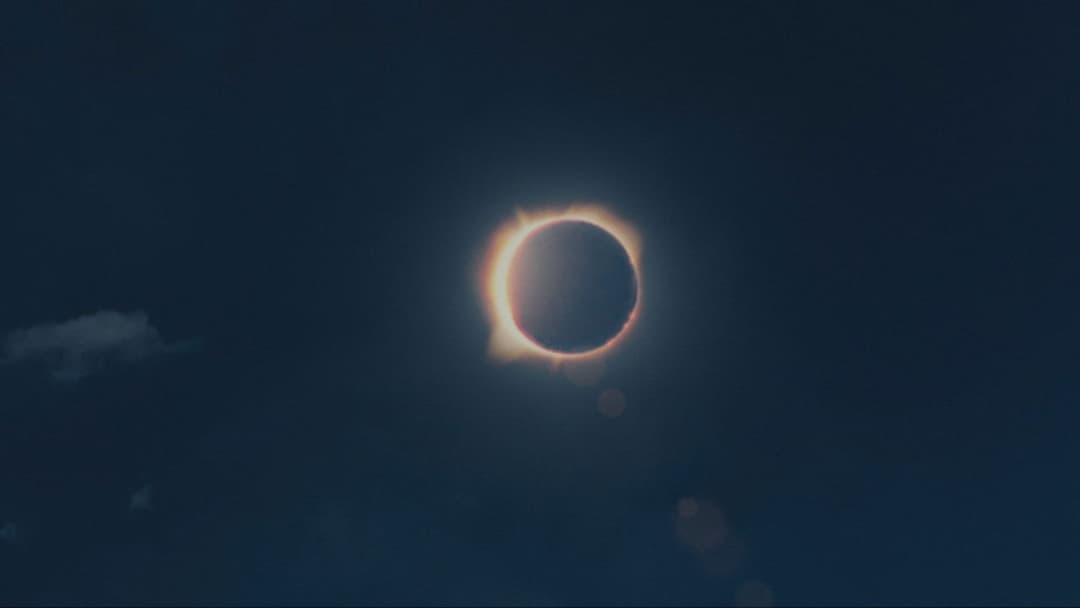 Apocalypto backdrop 20