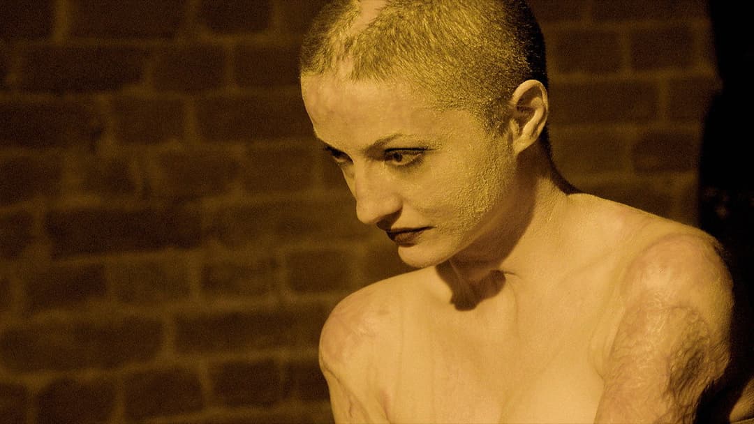 Collective backdrop 3