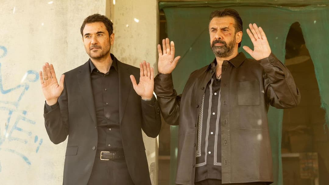 7 كلاب backdrop 3