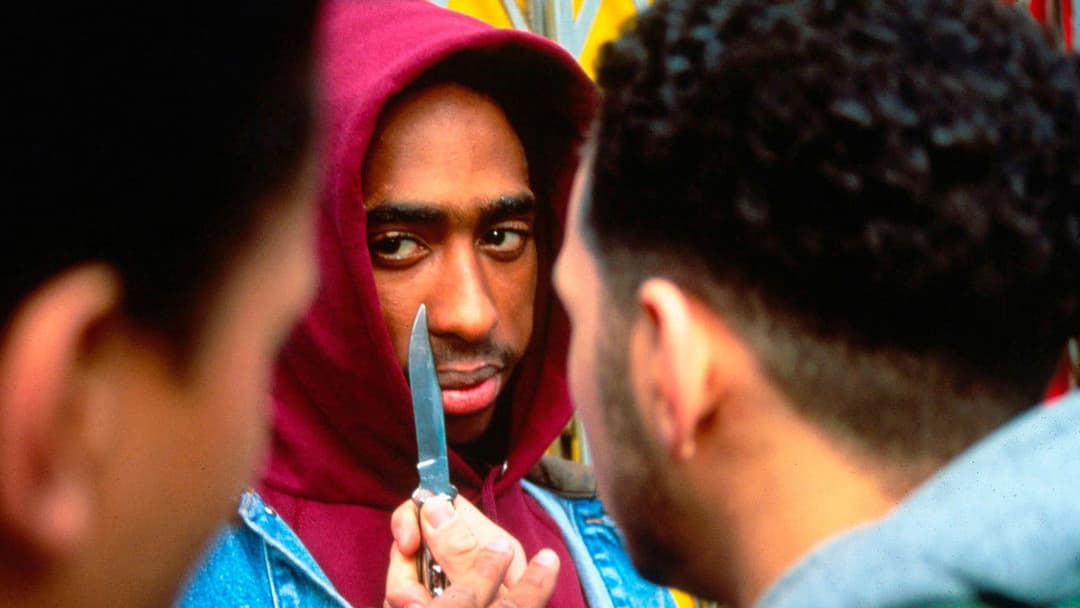 Авторитет backdrop 19