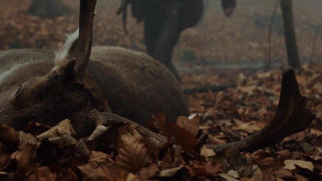 Die Jagd backdrop 13