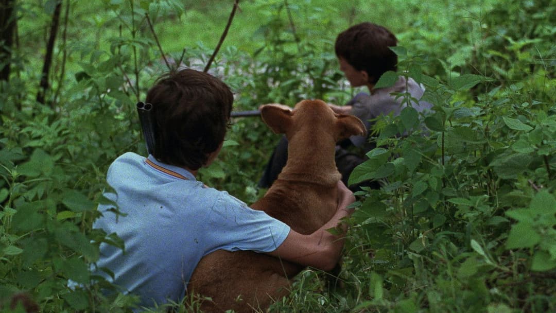 La Ciénaga backdrop 13