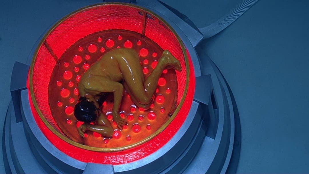 Остін Паверс: Міжнародний таємний агент backdrop 14