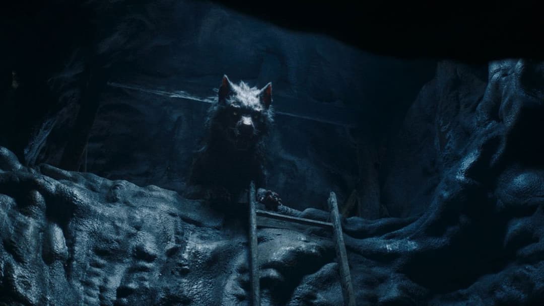 Вовк вікінгів backdrop 12