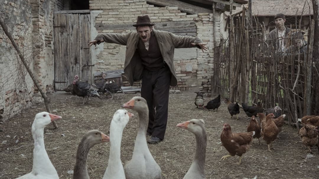 Hidden Away - Ich wollte mich verstecken backdrop 1