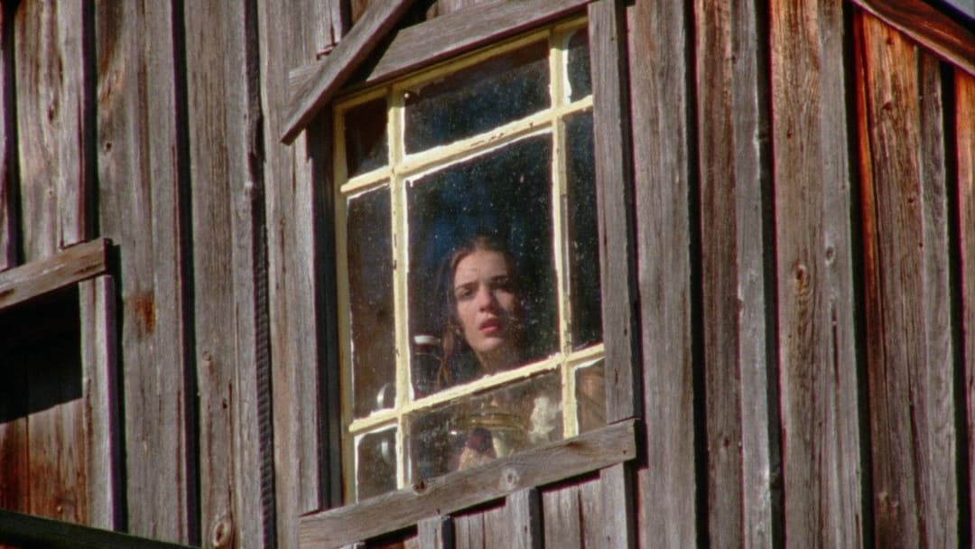 The Sweet East backdrop 17