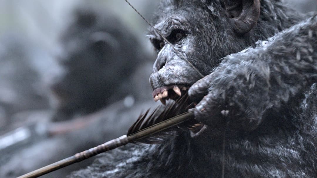 Planet der Affen - Survival backdrop 17