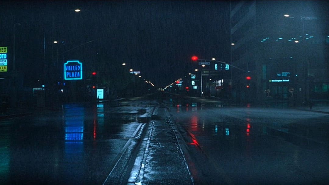 Магнолія backdrop 19