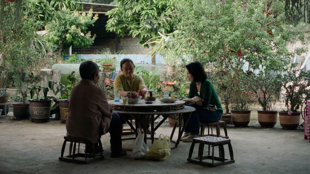 Shanghai Daughter backdrop 2