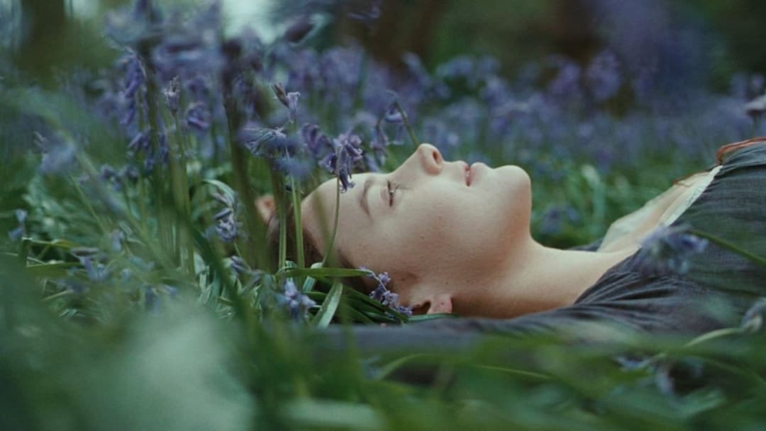 Bright Star backdrop 11