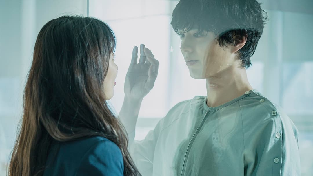 Вандерленд backdrop 7