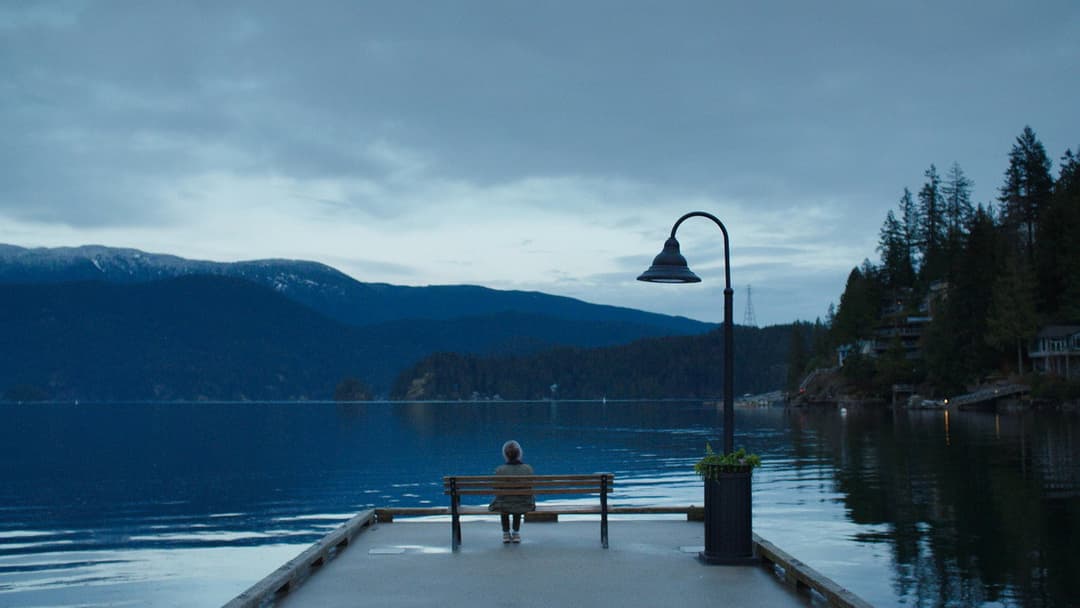 Remarkably Bright Creatures backdrop 2