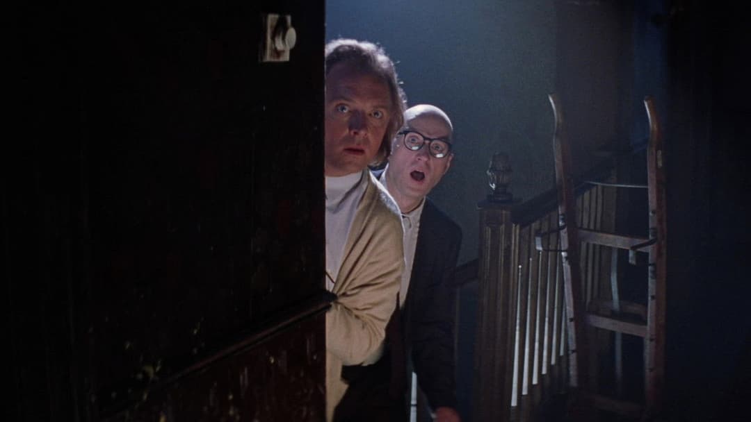 Guest House Paradiso backdrop 3