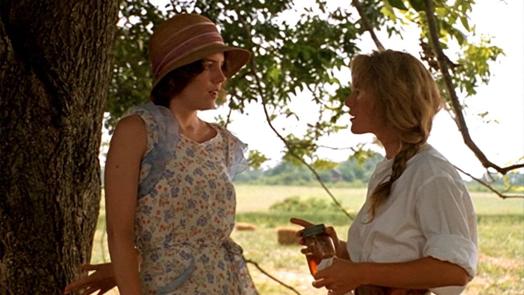 Смажені зелені помідори backdrop 9