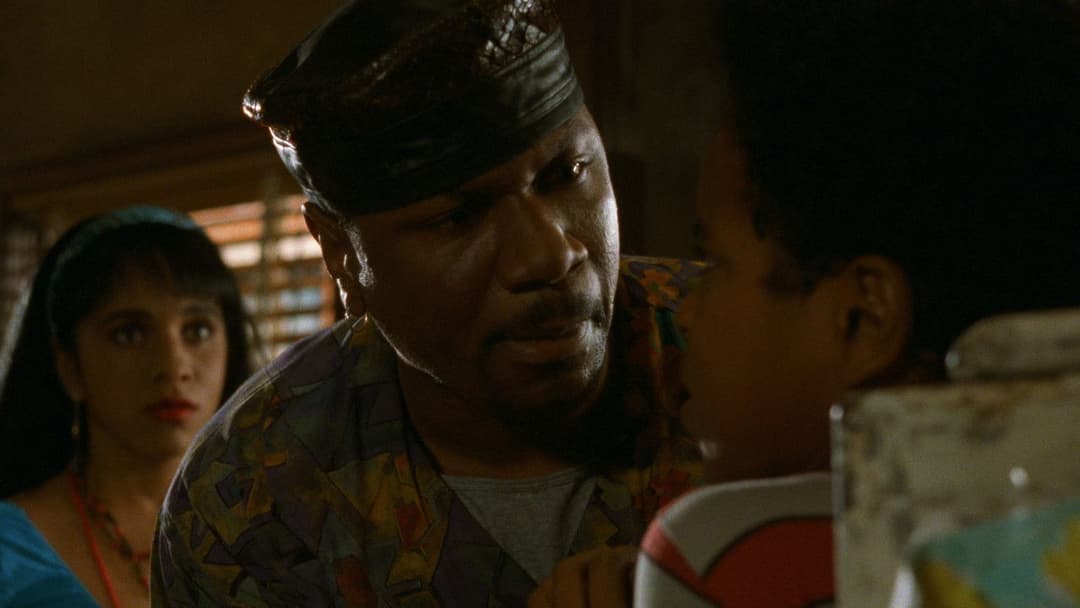 Das Haus der Vergessenen backdrop 2