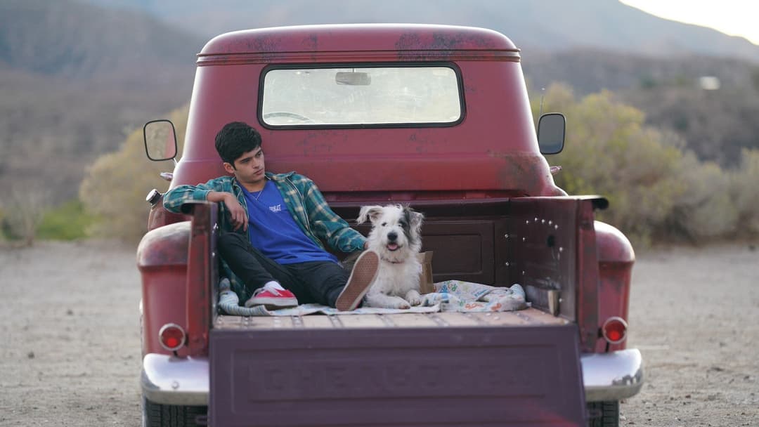 Aristoteles und Dante entdecken die Geheimnisse des Universums backdrop 7