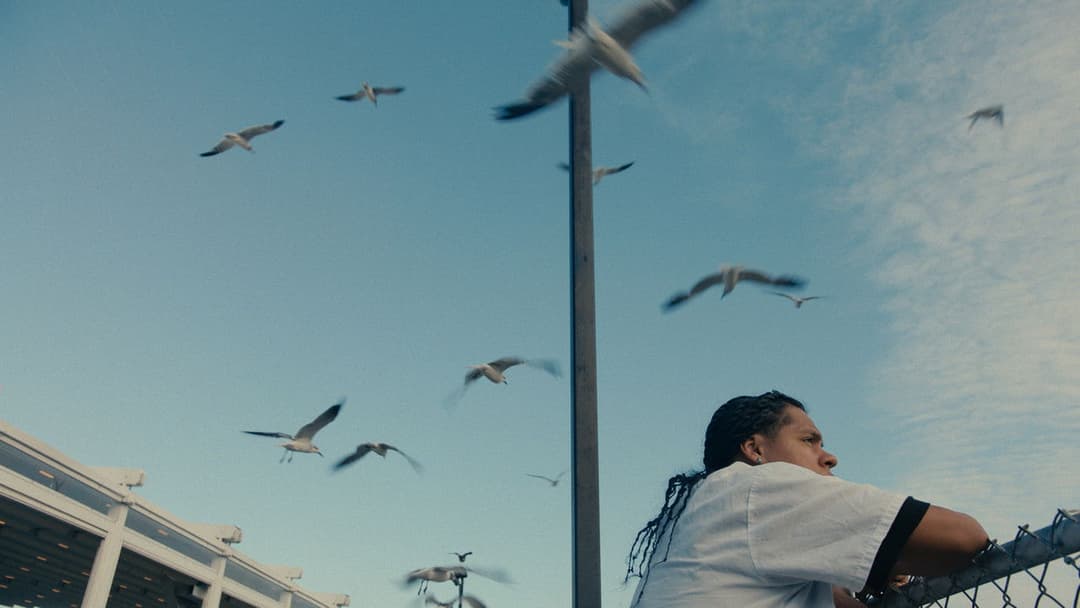 Mad Bills to Pay (or Destiny, dile que no soy malo) backdrop 3