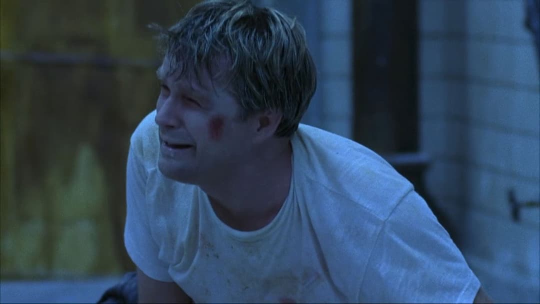 Пила backdrop 14