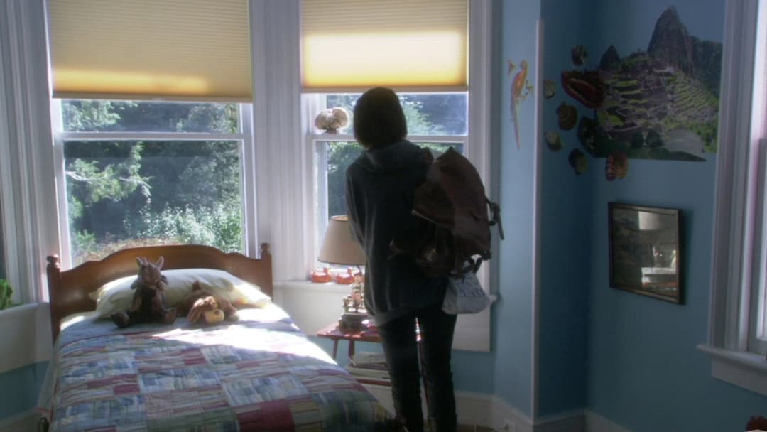 Rachel Getting Married backdrop 8