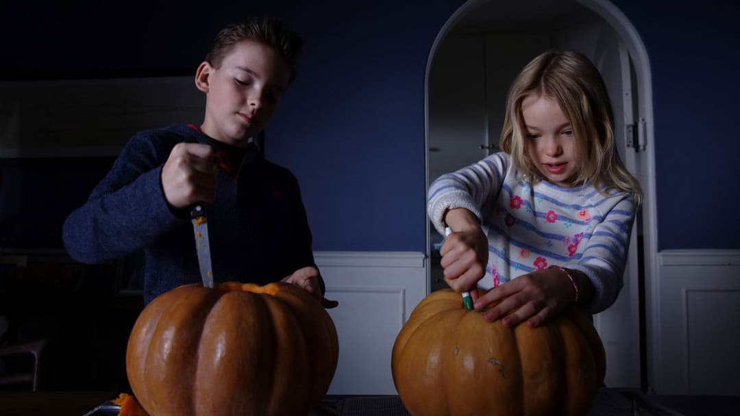 Stephanie backdrop 2