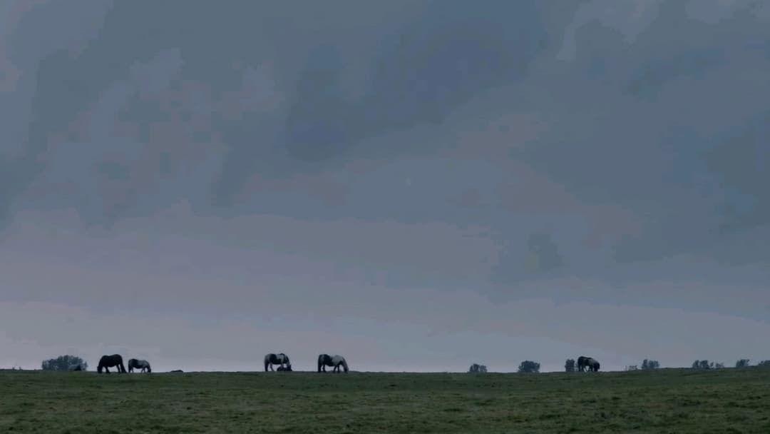 The Selfish Giant backdrop 6