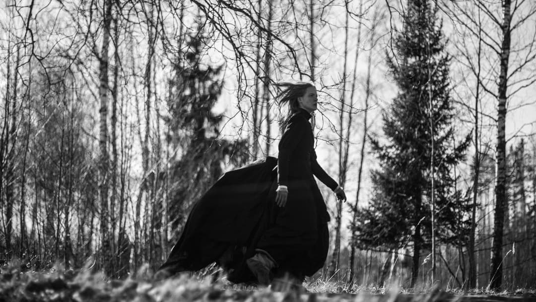 November backdrop 15