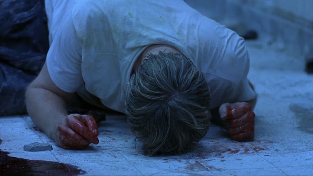 Пила backdrop 10