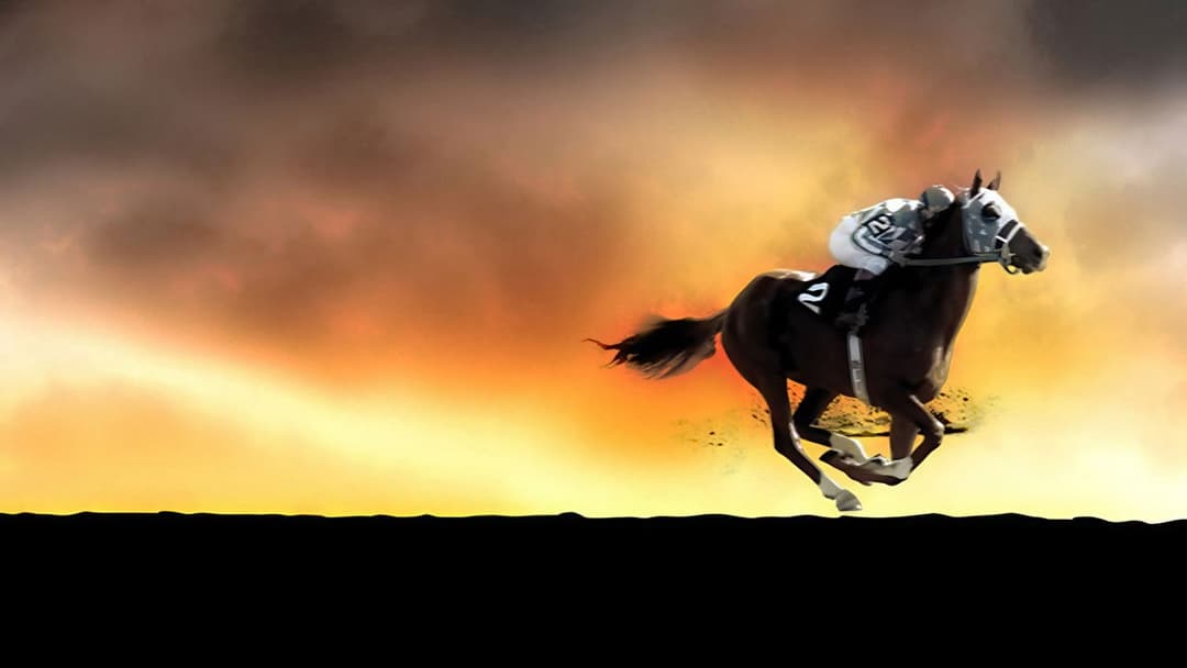 Чемпіон backdrop 10