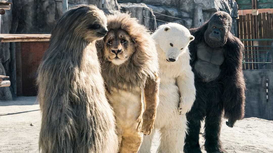 해치지않아 backdrop 4