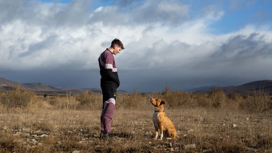 Schrottplatzköter backdrop 13