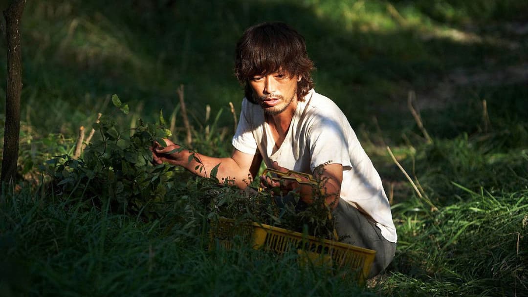 김씨 표류기 backdrop 10