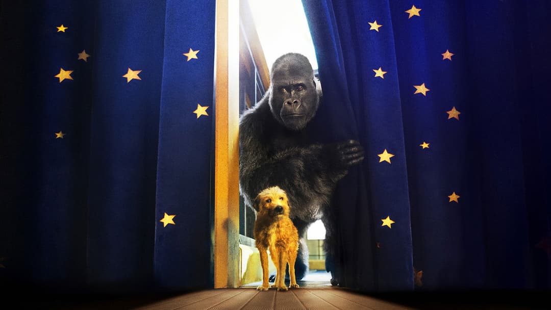 Айван, єдиний і неповторний backdrop 3