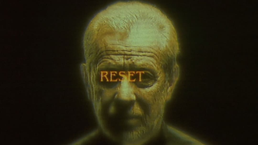 Авалон backdrop 4